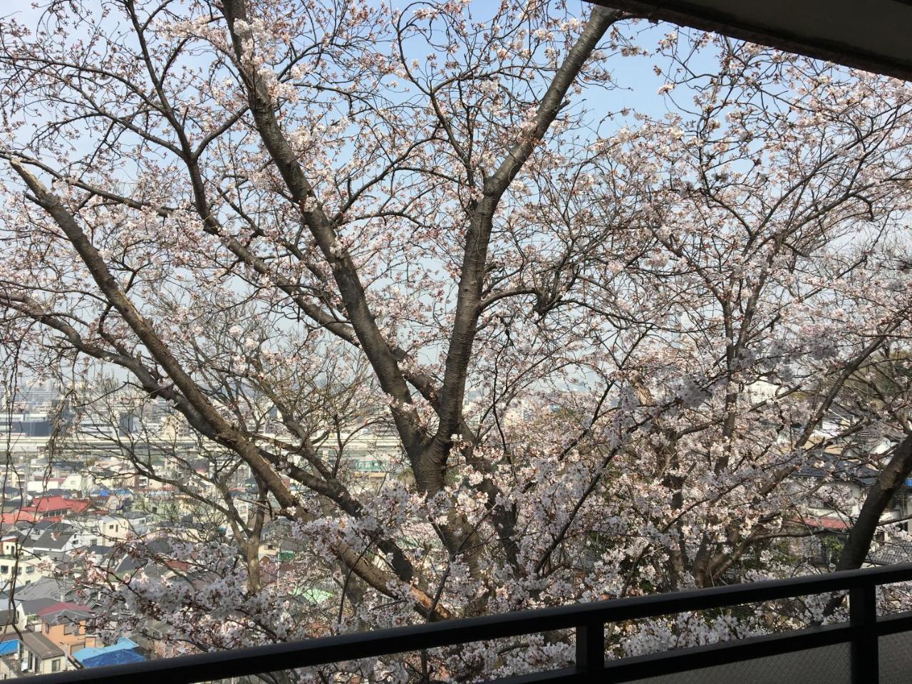 平楽園弐番館２階 Daire Yokohama  Dış mekan fotoğraf