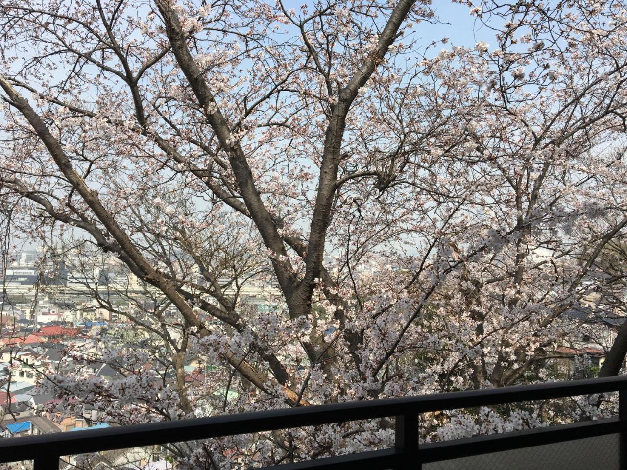 平楽園弐番館２階 Daire Yokohama  Dış mekan fotoğraf