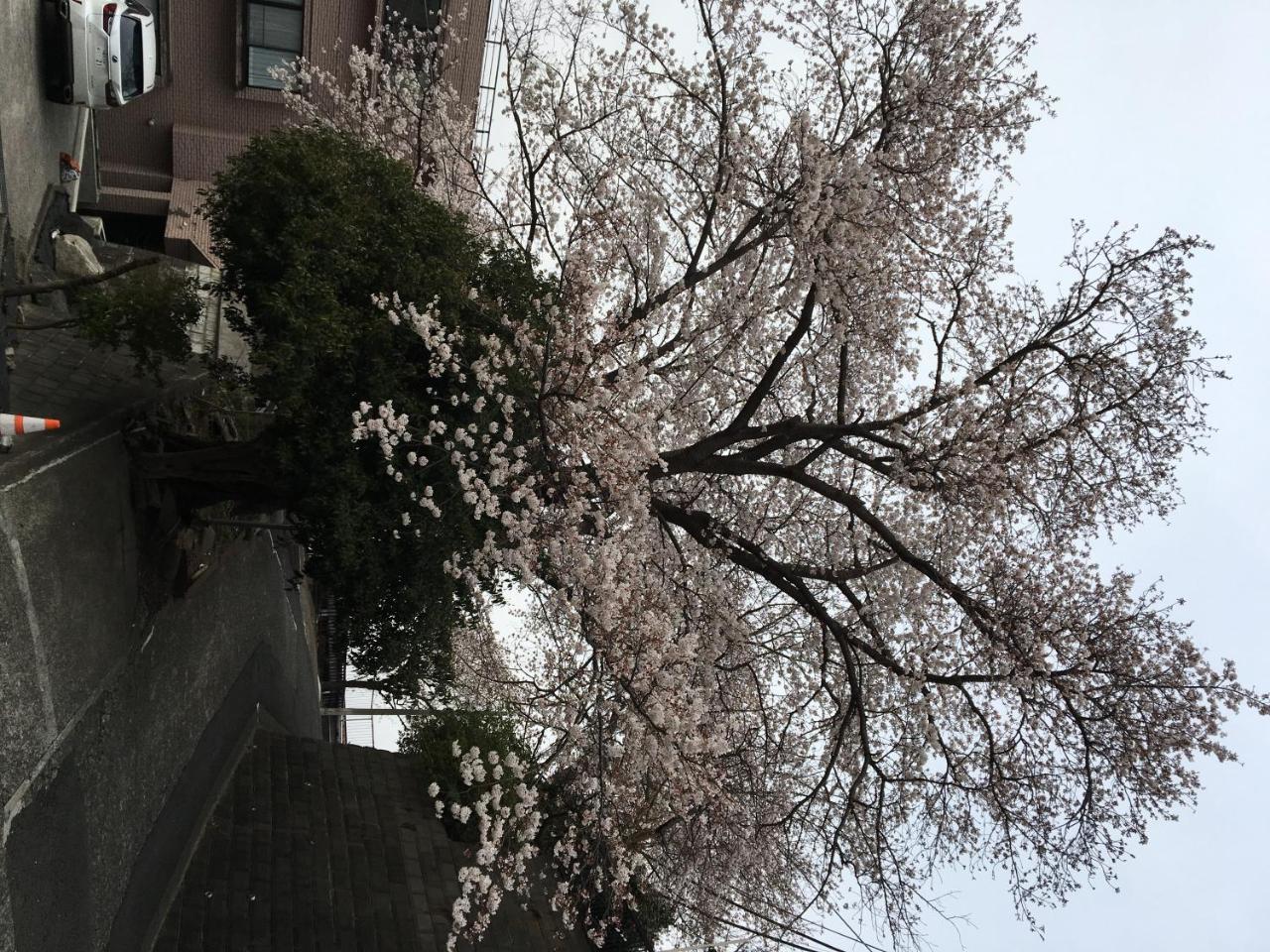 平楽園弐番館２階 Daire Yokohama  Dış mekan fotoğraf